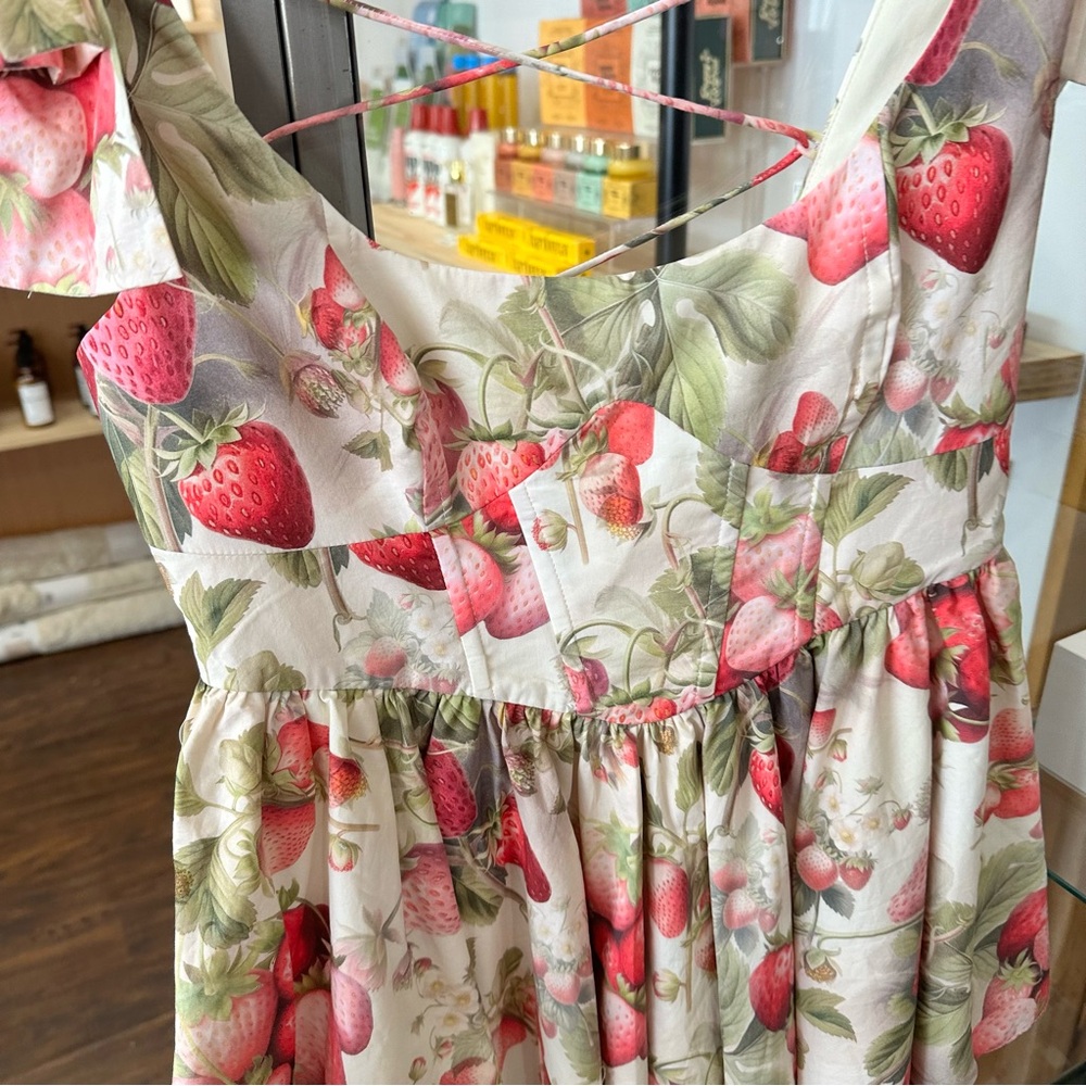 NWT SELKIE Strawberry Cream Farmer’s Market Dress - Picture 4 of 6